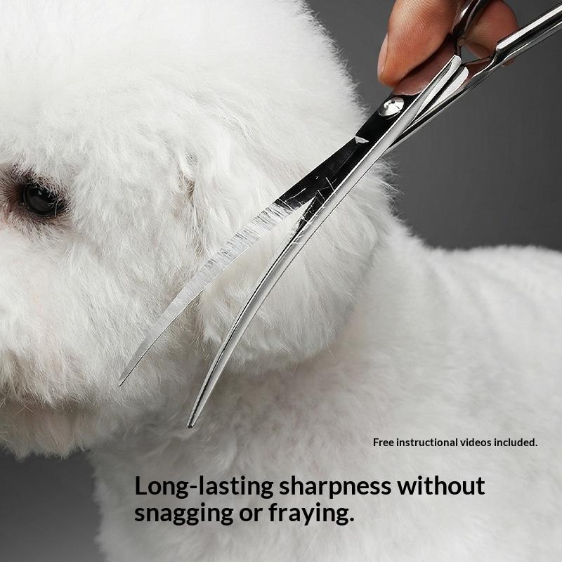 1 Pezzo Forbici Professionali  - Dog Grooming Clippers recensione e prezzo