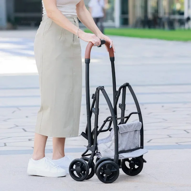 Passeggino Leggero e Pieghevol - Pet Stroller Carrier recensione e prezzo