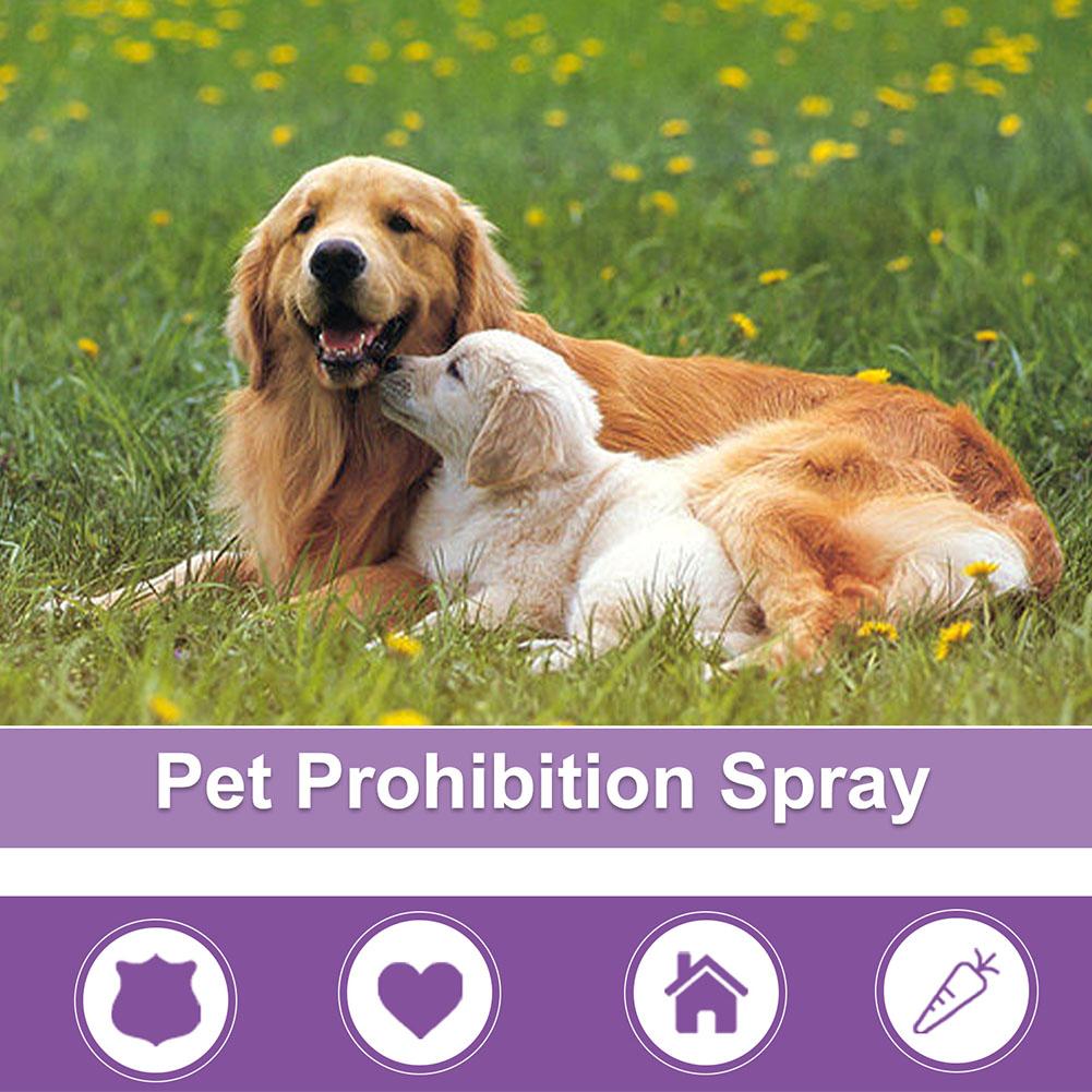 Spray Calmante per Animali Dom - Pet Supplies Vending Machine recensione e prezzo