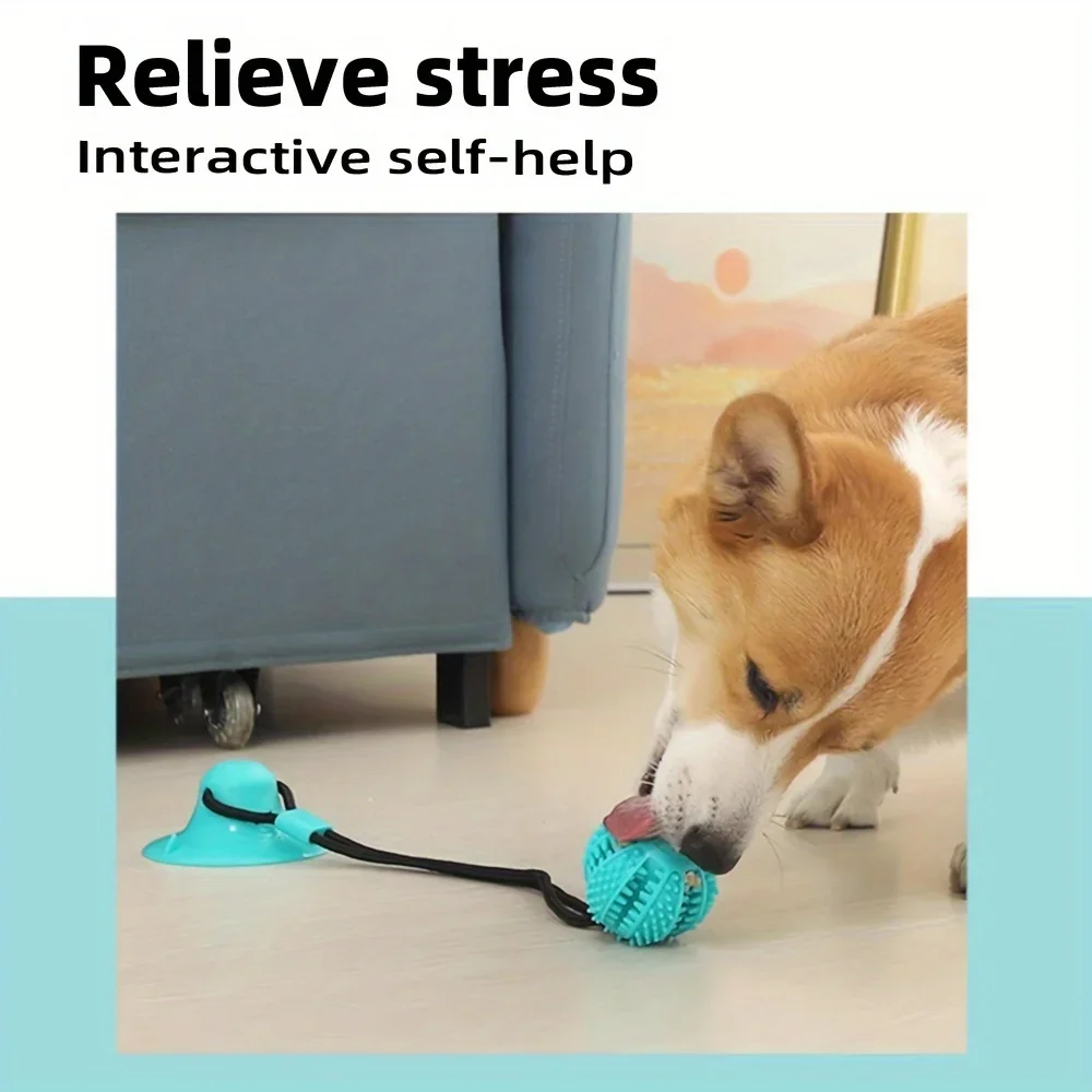Giocattolo interattivo a vento - Dog Treat Puzzle Toy recensione e prezzo