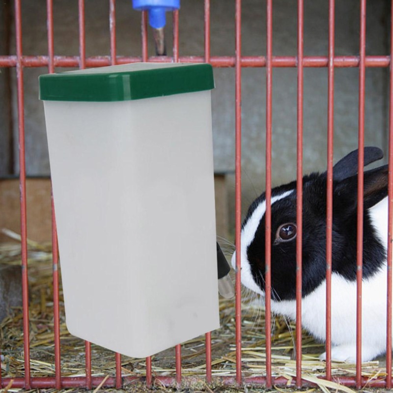Dispenser d'Acqua per Animali  - Pet Supplies Vending Machine recensione e prezzo