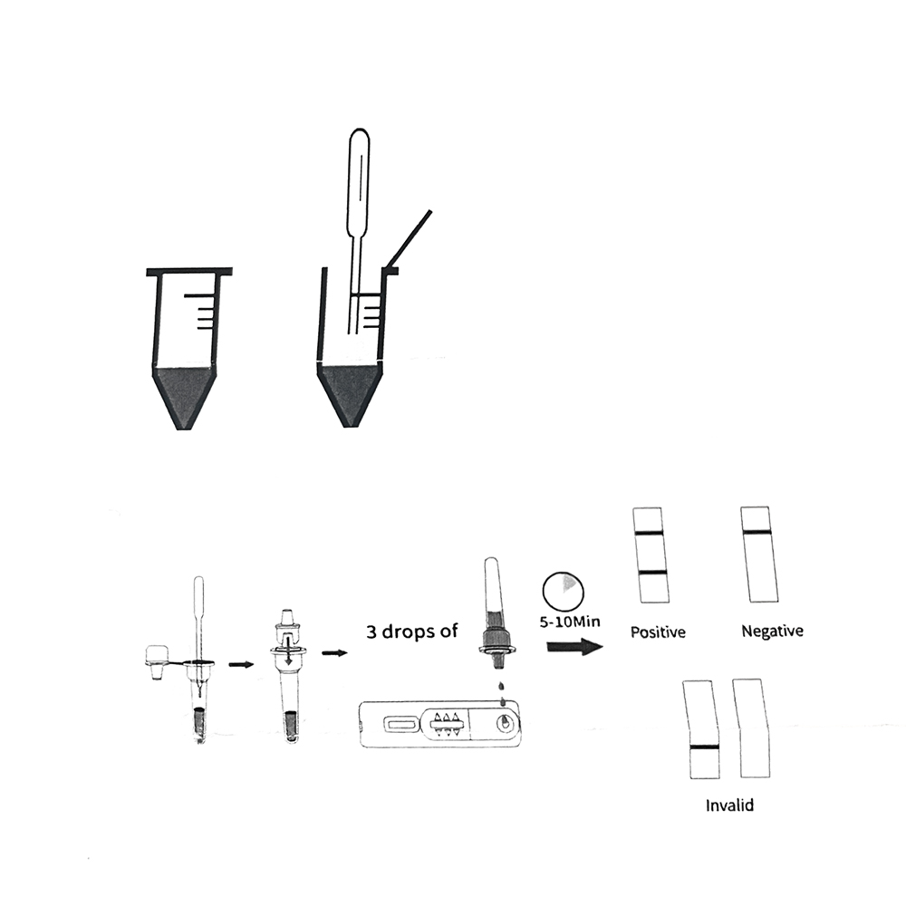 1set/5set Kit professionale pe - Pet Supplies Vending Machine recensione e prezzo