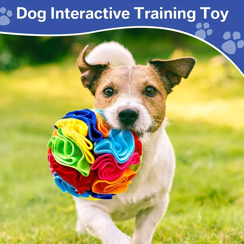 Giocattoli Interattivi per Can - Dog Treat Puzzle Toy recensione e prezzo