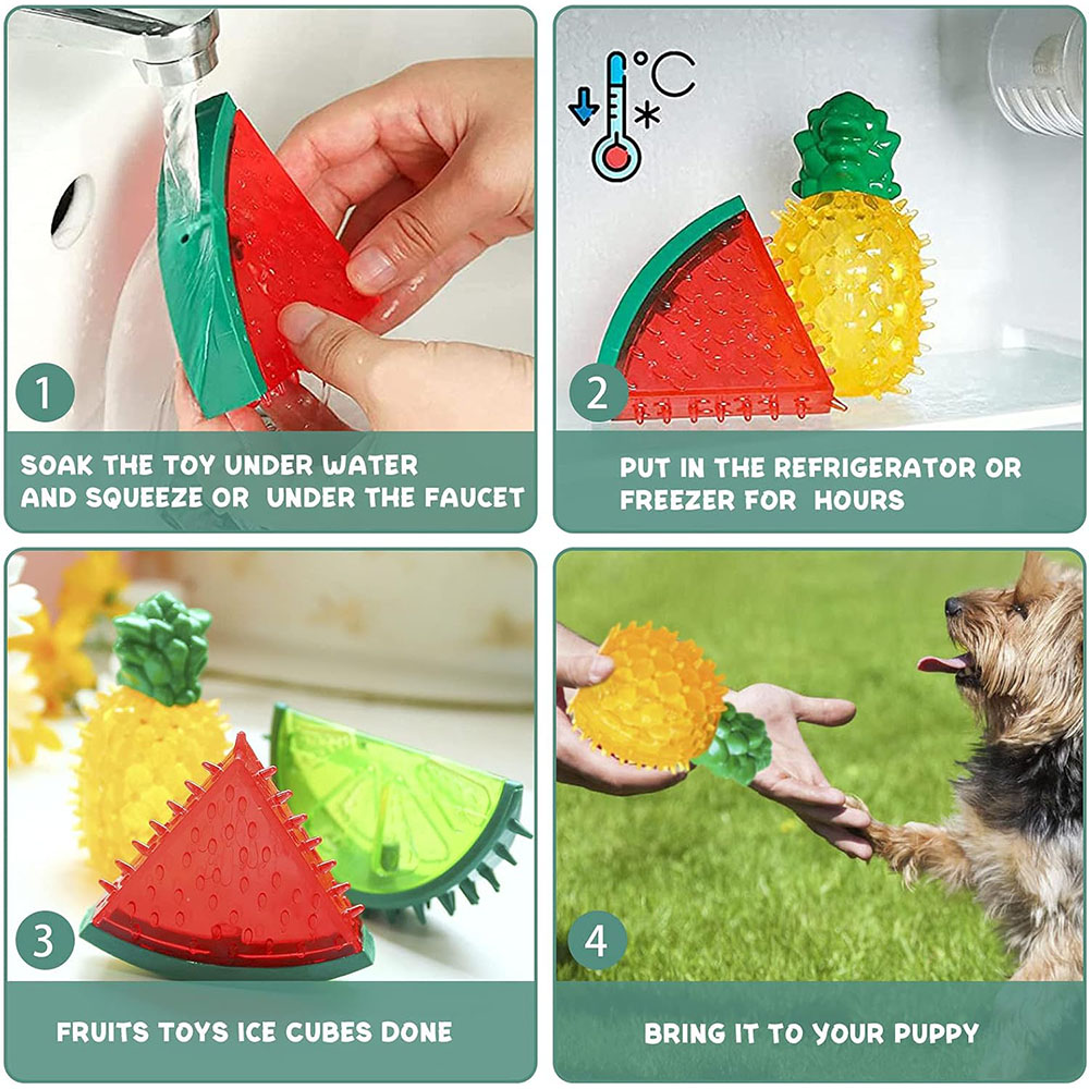 Giocattolo refrigerante congel - Dog Treat Puzzle Toy recensione e prezzo