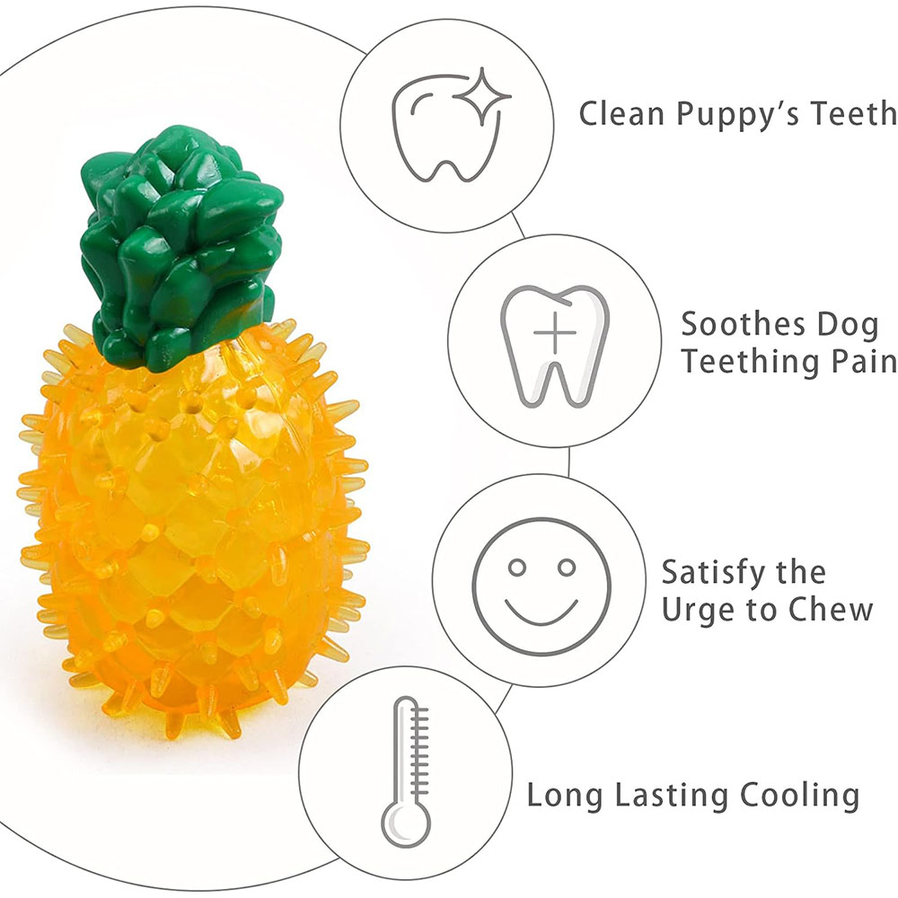 Giocattolo refrigerante congel - Dog Treat Puzzle Toy recensione e prezzo