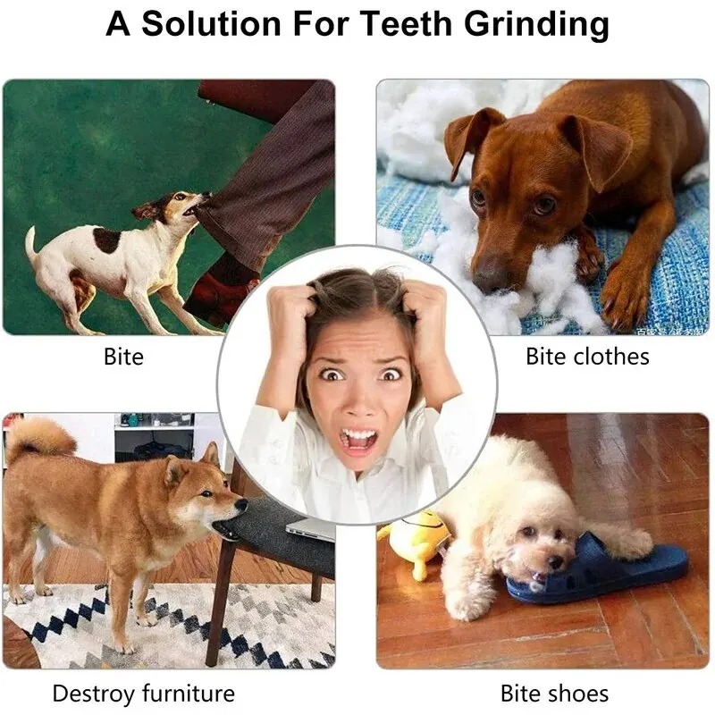 1 Pezzo Pallina Interattiva Di - Dog Treat Puzzle Toy recensione e prezzo
