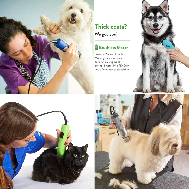 Lama in ceramica rimovibile pe - Dog Grooming Clippers recensione e prezzo