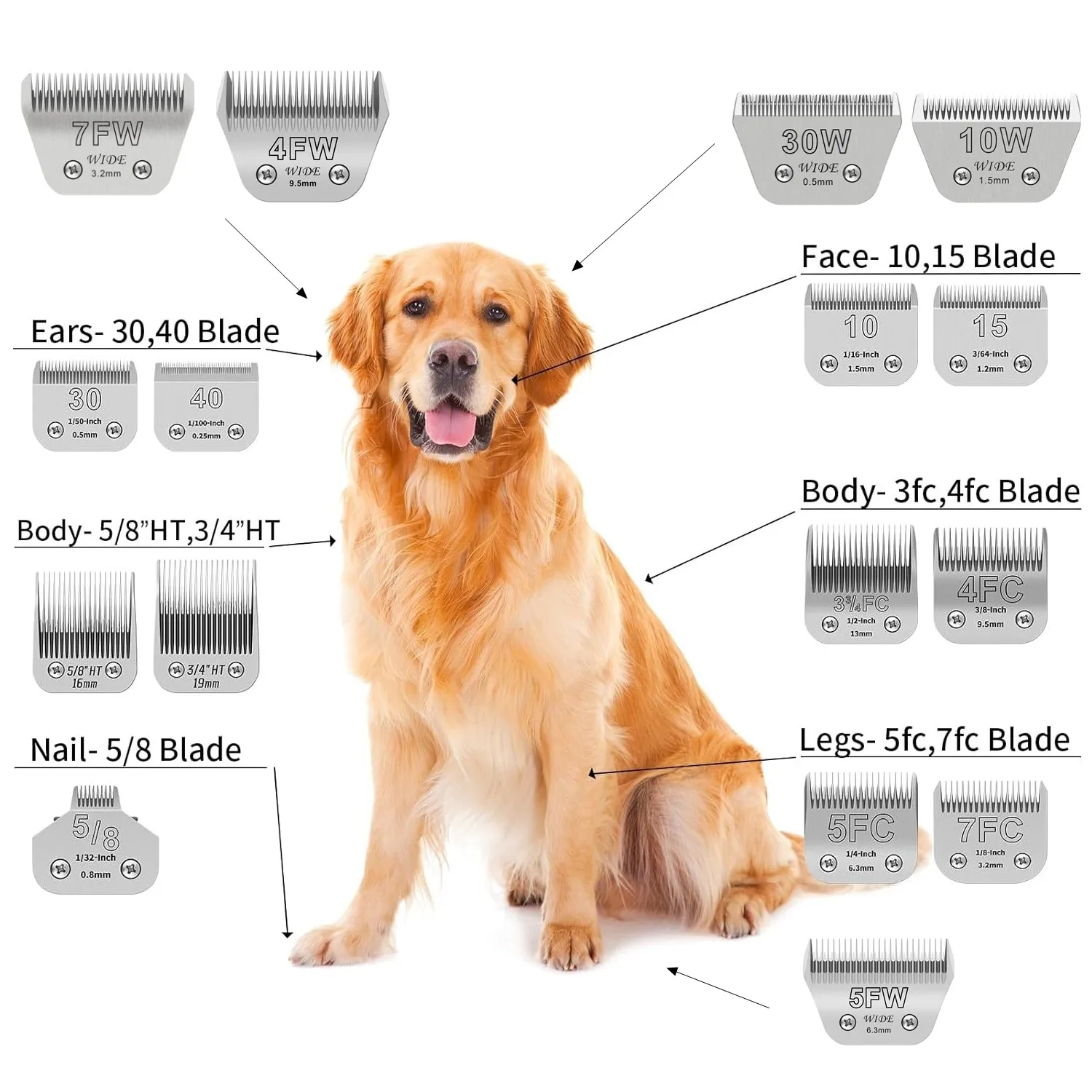 Lama in ceramica rimovibile pe - Dog Grooming Clippers recensione e prezzo