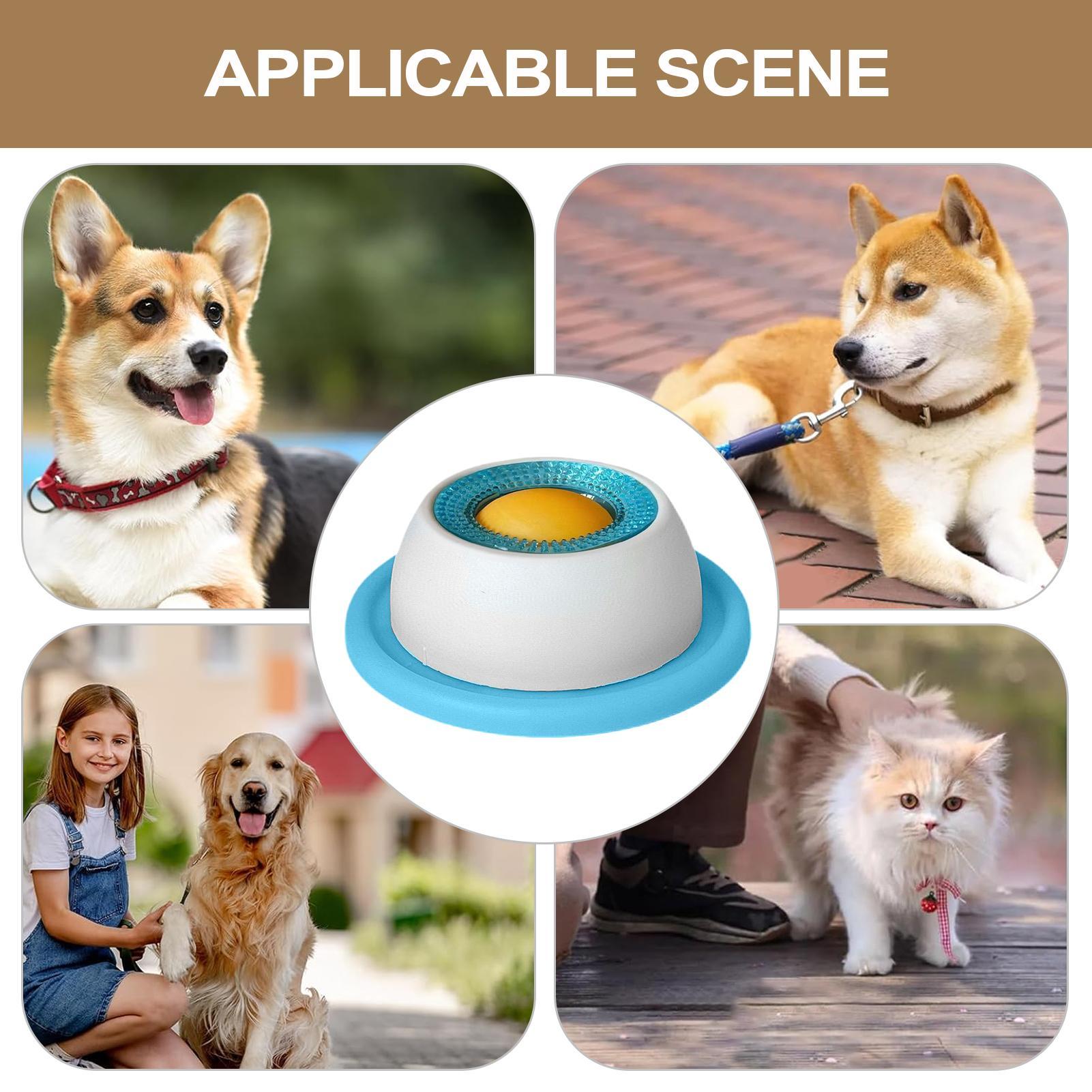 Giocattolo per cani, accessori - Dog Treat Puzzle Toy recensione e prezzo