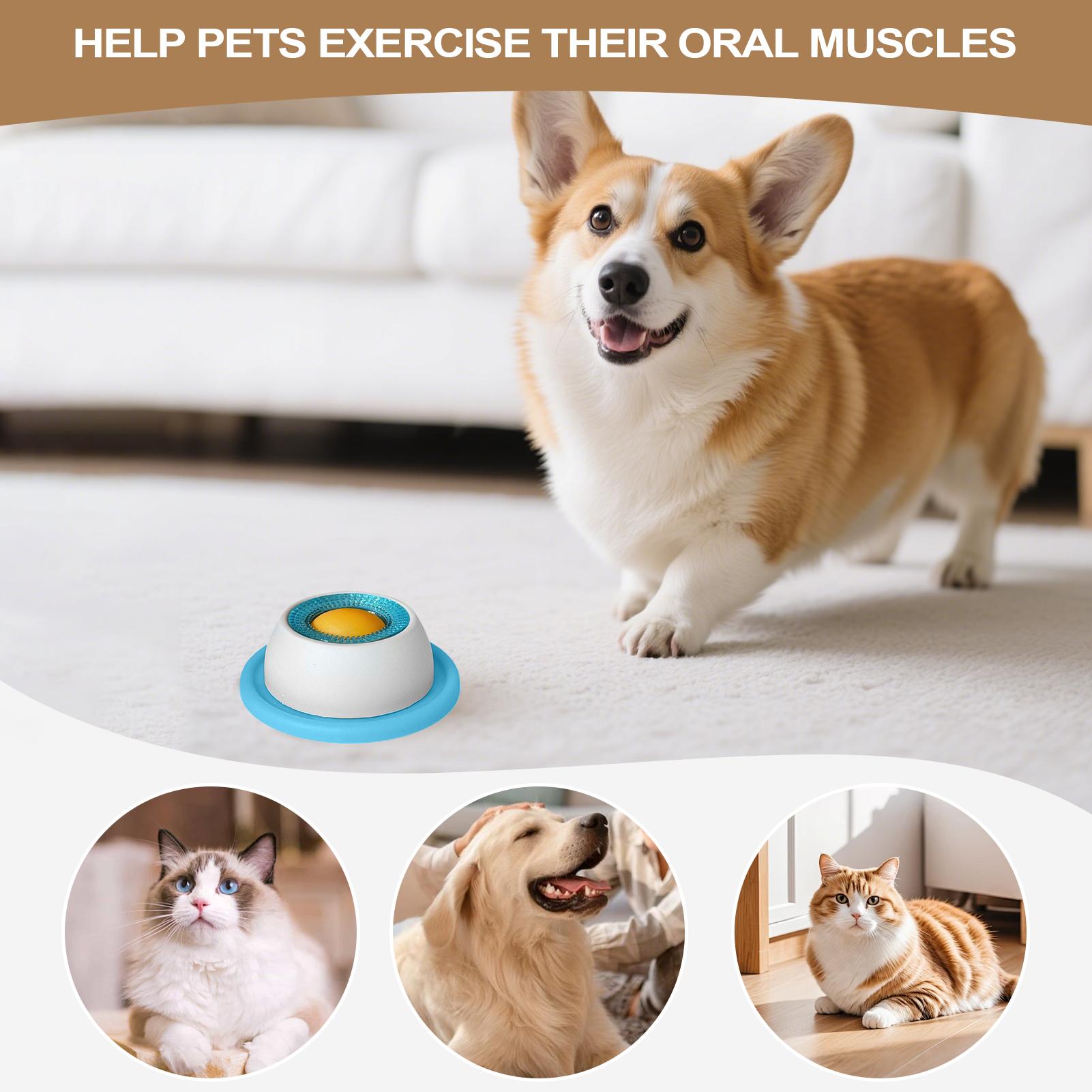 Giocattolo per cani, accessori - Dog Treat Puzzle Toy recensione e prezzo